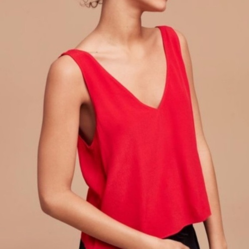 Aritzia Wilfred Free Kempner top